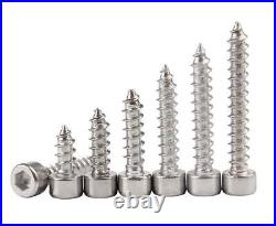 304 Stainless Steel Allen Hex Socket Cap Head Sheet Metal Screws M2 To M6