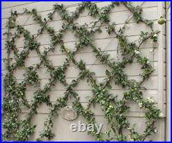 60 METERS STAINLESS STEEL WIRE TRELLIS KIT GREEN WALL SYSTEM PLANTS (3 x 3mtr)