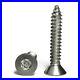 6_Stainless_Steel_Torx_Star_With_Pin_Security_Flat_Head_Sheet_Metal_Screws_01_iwnl