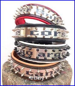 Bestia Metal dog collar. PERSONALIZED. Your writing engraved on stainless steel