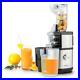 Slow_Juicer_Whole_Fruit_Juice_Seed_Less_Electric_1L_2_Jars_400W_Stainless_Steel_01_dzry