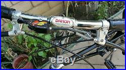 Vintage 1980s Dahon Stainless Steel 3 Speed Sturmey Archer Folding Bike Metallic